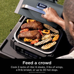 Woodfire Outdoor Grill Smoker 6 In 1 Electric Appliance-0