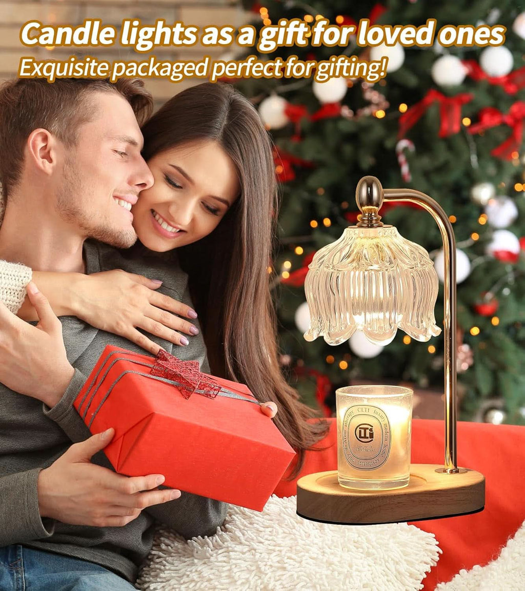 Golden Illuminating Candle Warmer Lamp Timer Dimmer
