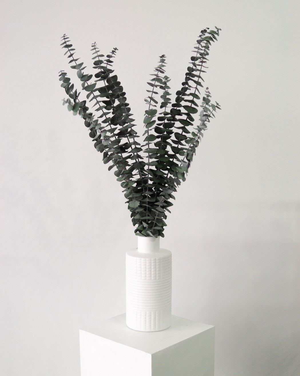 White vase with dried eucalyptus branches on a light gray background
