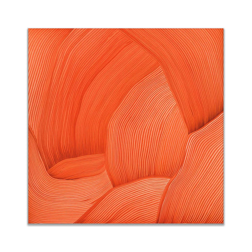 3D Line Drawing 36" x 36" Fine Art Canvas-0