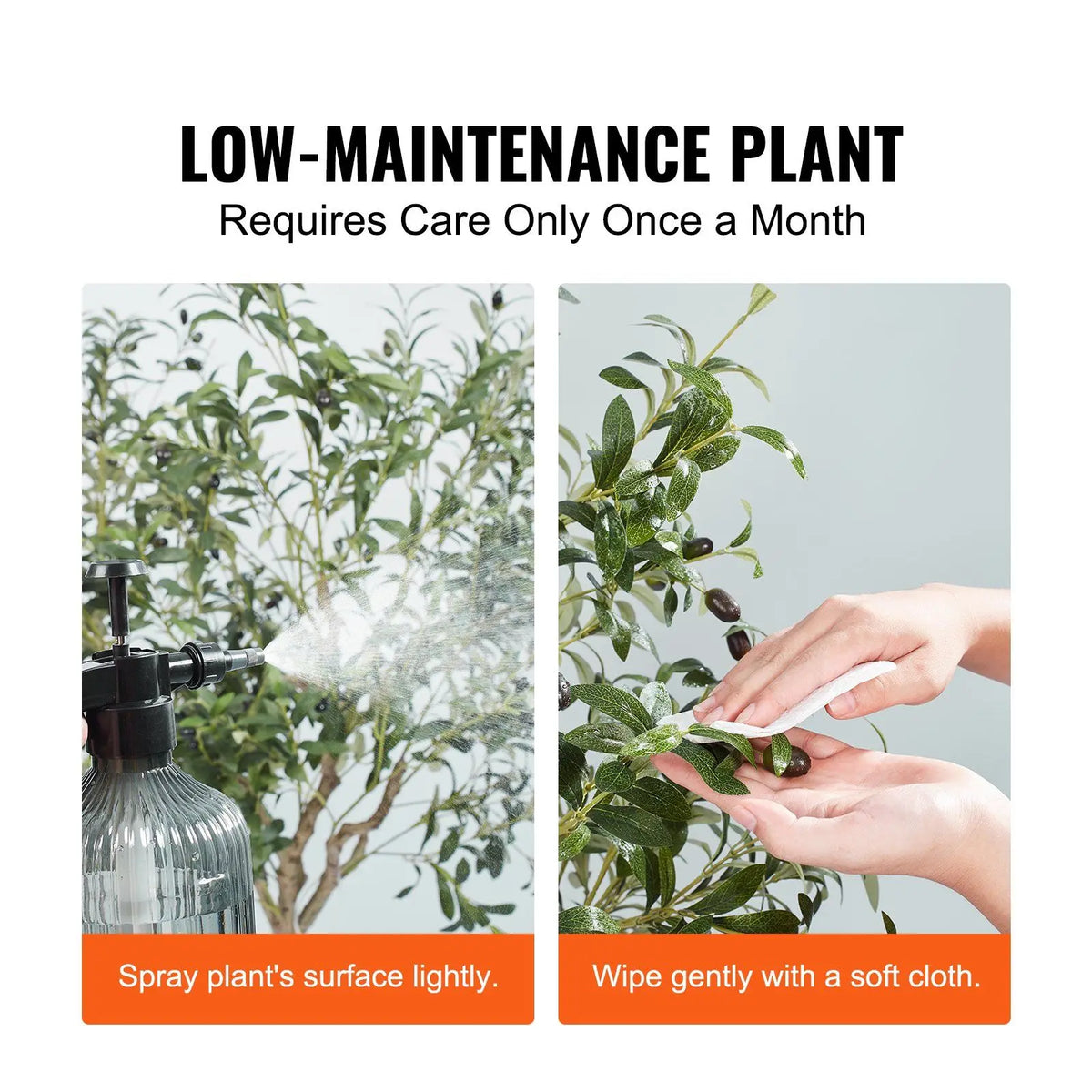 Two images showing a faux olive tree plant being watered and cleaned with text about low-maintenance care.