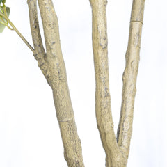 Close-up of faux olive tree branches on a white background