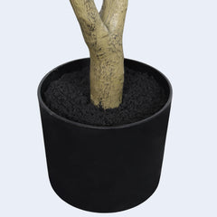 Black pot with an olive plant on a light gray background 