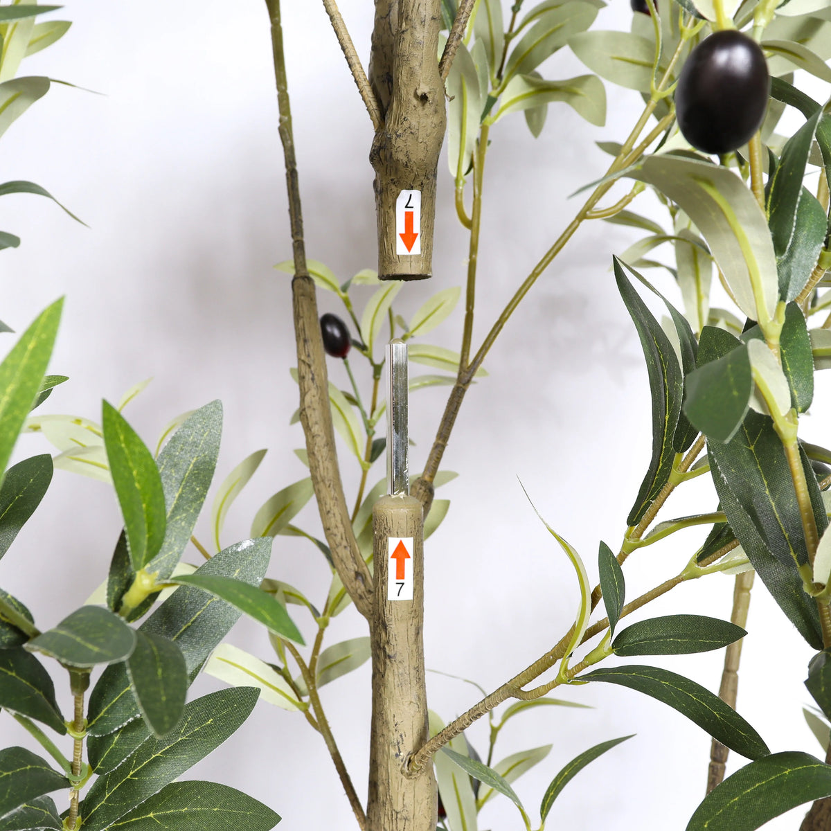 Olive branch with black olives and an assembly piece on a white background