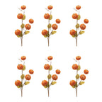 Set of six decorative pumpkin branches on a white background