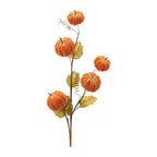 Decorative stem with orange pumpkins and green leaves on a white background