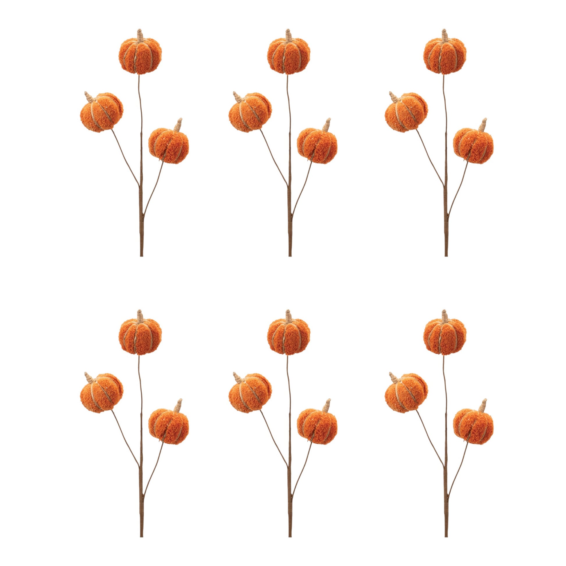 Set of 6 decorative pumpkin branches on a white background