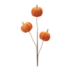 Decorative pumpkin stem with three orange pumpkins on a white background