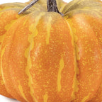 Set of Two Orange And Yellow Plastic Pumpkin Thanksgiving Pumpkin Tabletop Sculpture-4