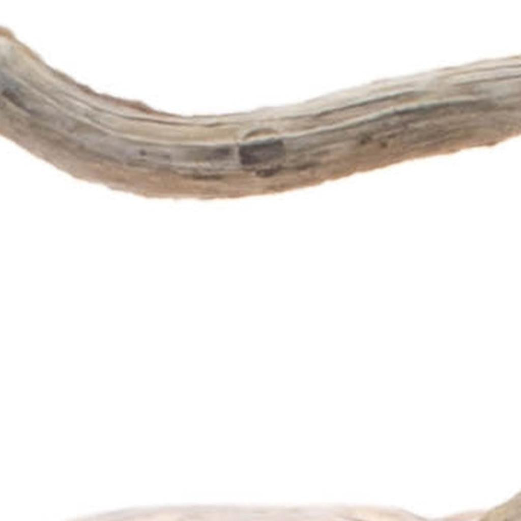 Set of Two Orange And Brown Glass Pumpkin Thanksgiving Pumpkin Tabletop Sculpture with LED-2