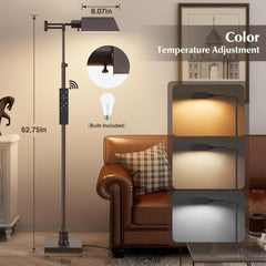 Bronze Height Adjustable Color Temperature Floor Lamp-1