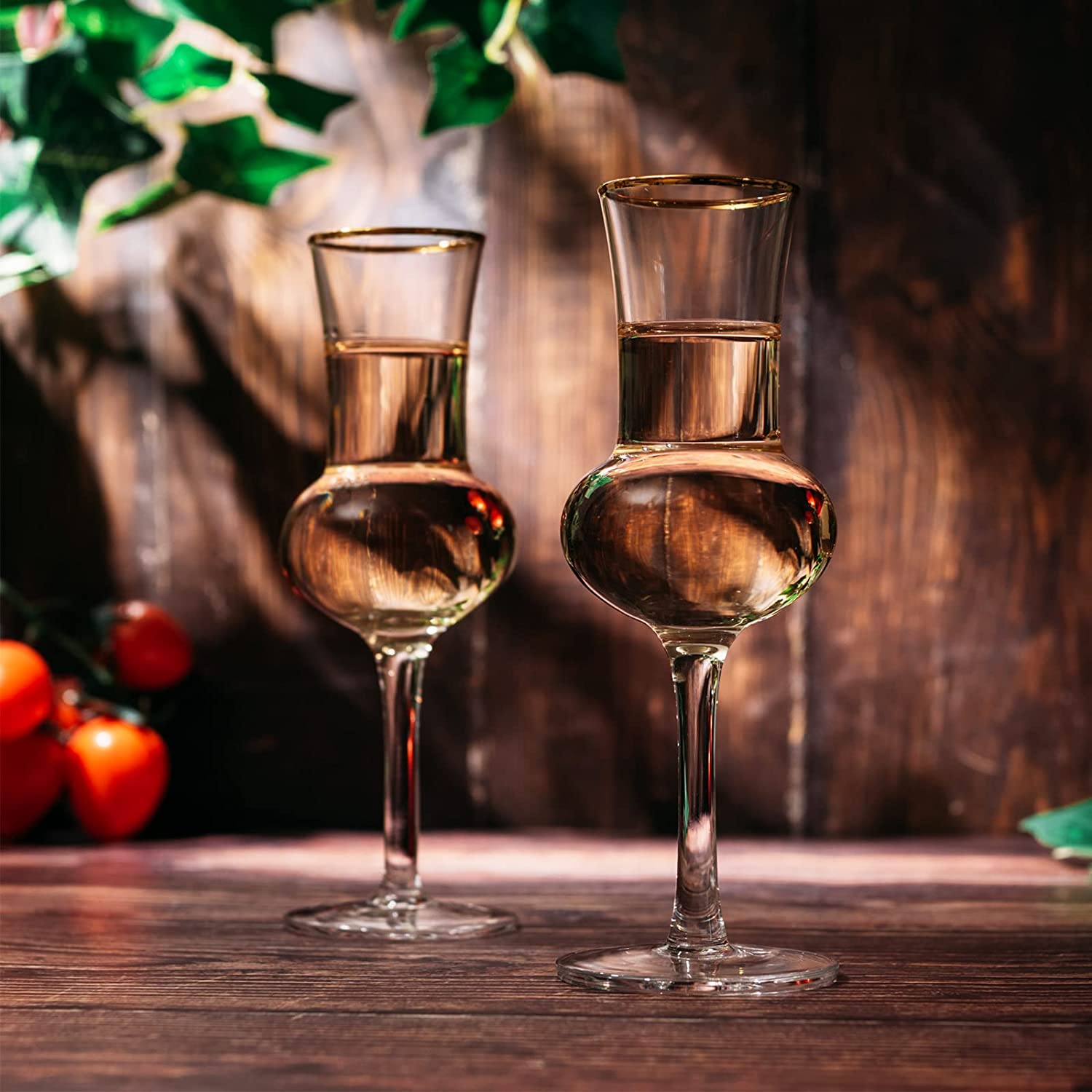 The Wine Savant Crystal Set of 6 Grappa Glasses 3oz-3