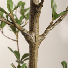 Close-up of an artificial olive tree branch with green leaves on a plain background