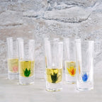 Tequila Decanter Tequila Glasses Set, 6 Agave Sipping Shot Glass (Agave)-3