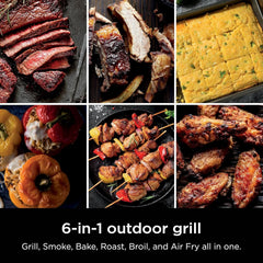 Woodfire Outdoor Grill Smoker 6 In 1 Electric Appliance-1
