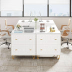Two Drawer Lateral File Cabinet White And Gold For Legal Letter A4 Files Printer Stand Home Office-4
