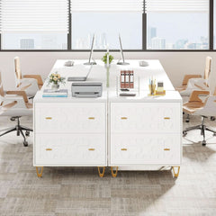 Two Drawer Lateral File Cabinet White And Gold For Legal Letter A4 Files Printer Stand Home Office-4