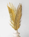 Sago Palm-0