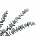 Beautiful Artificial Eucalyptus Stems – 25 Piece Bulk Lot, 30 Inches-4