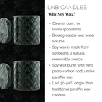 Candle FORBIDDEN Home Decor Accent Masculine Scent