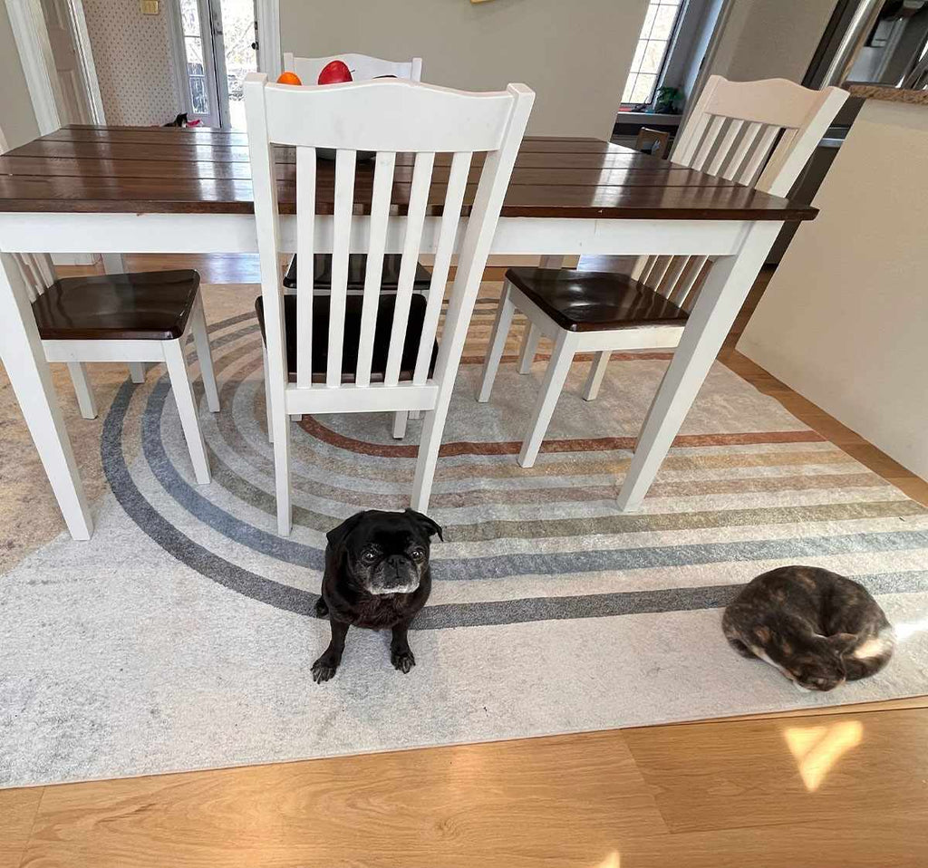 Dining area with a wooden table and chairs, the Giza Contemporary Washable Multicolor Rainbow Rug, a pug dog and a sleeping cat.
