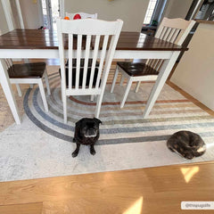 Low-Pile Giza Washable Rainbow Area Rug