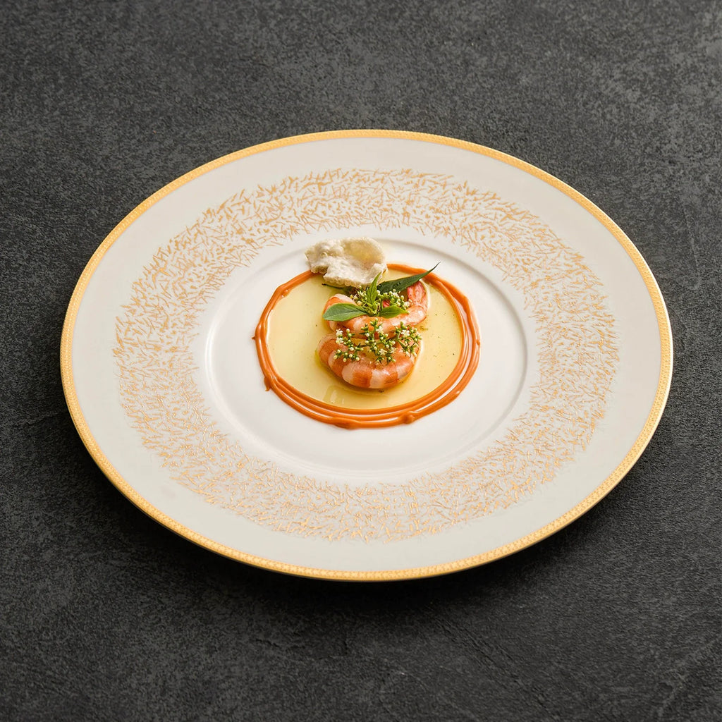 Gold-Pattern Wide-Rim Ceramic Plate — Collector’s Edition Fine Tableware-3