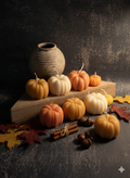 Autumn Pumpkin Candle | Hand-Poured Soy Wax-0