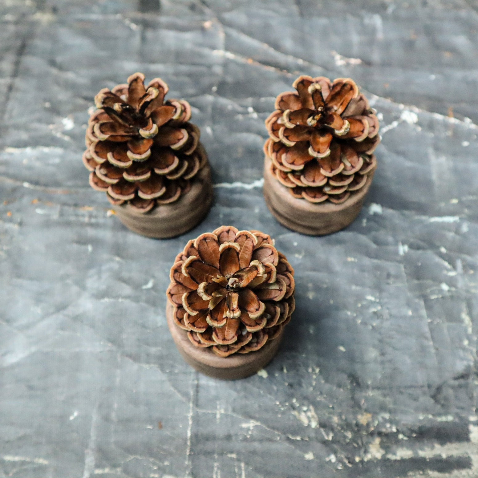 Pinecone Wooden Essential Oil Diffuser-4