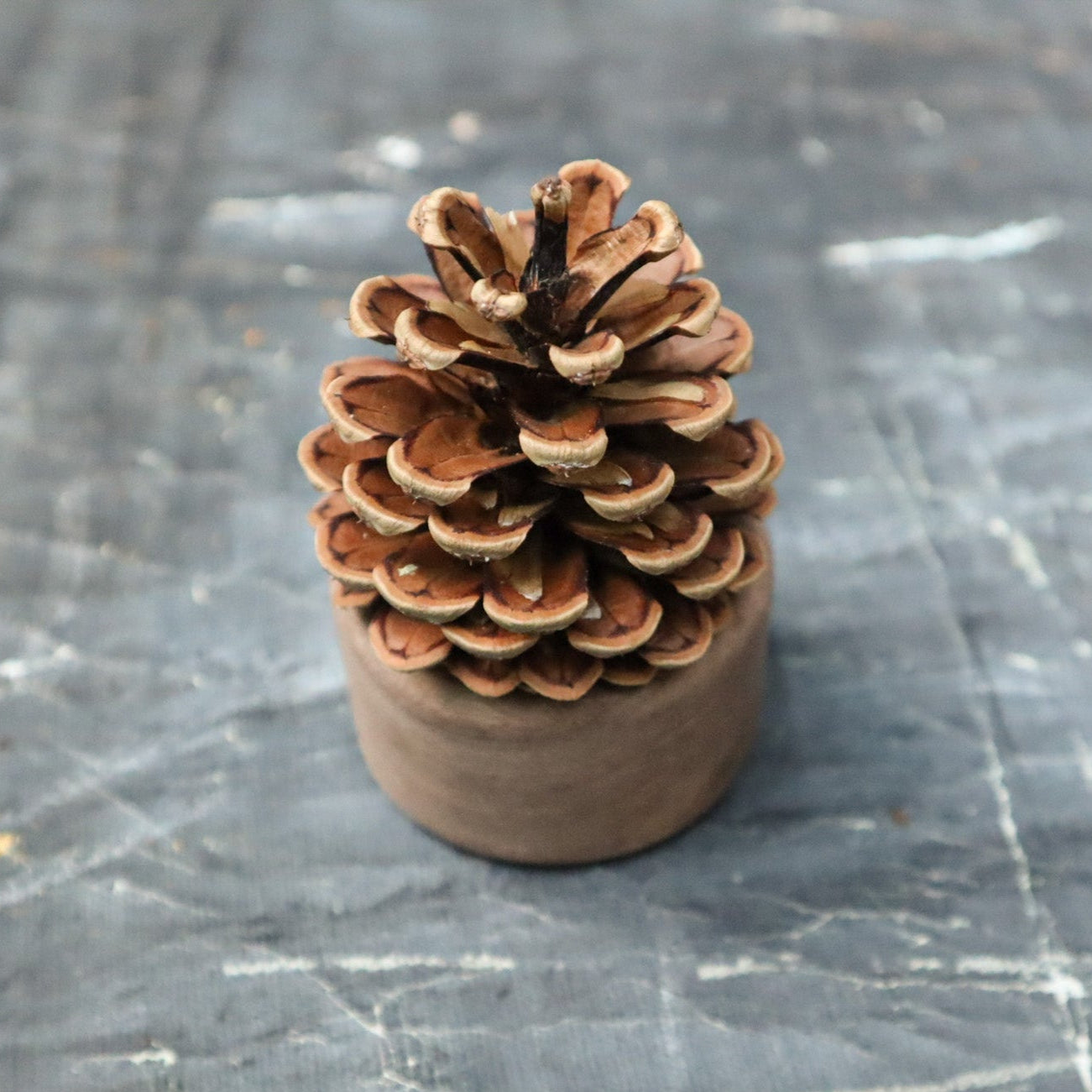 Pinecone Wooden Essential Oil Diffuser-3