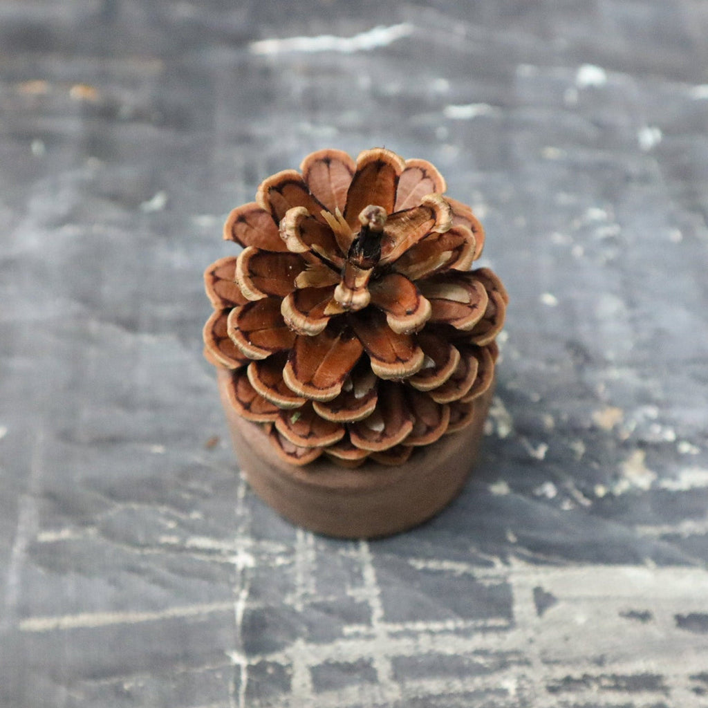 Pinecone Wooden Essential Oil Diffuser-0