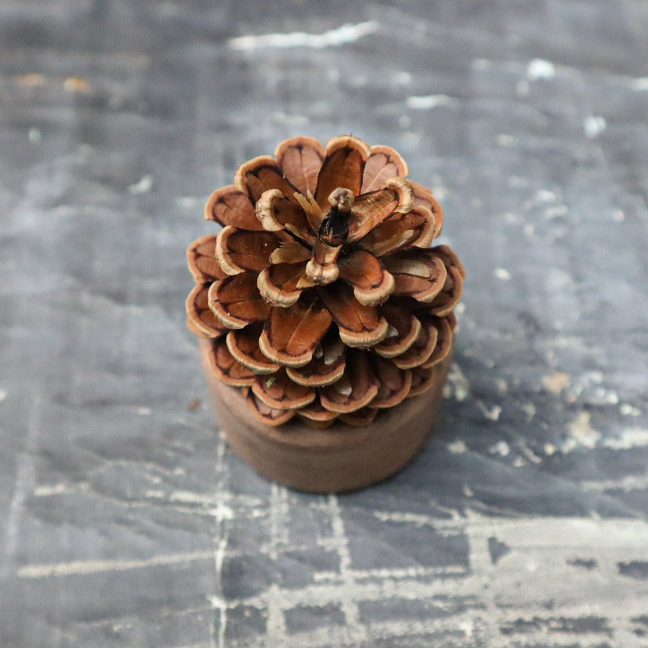 Pinecone Wooden Essential Oil Diffuser-0