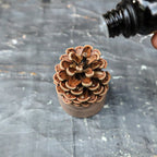 Pinecone Wooden Essential Oil Diffuser-2