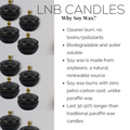 OPIY Candle Scent Designer Inspired by Opium