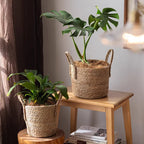 French Country Woven Planter Basket (Shipping fees may apply)
