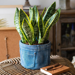Pants for Plants Blue Jeans Cement Flower Pot (Shipping fees may apply)