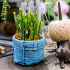 Pants for Plants Blue Jeans Cement Flower Pot (Shipping fees may apply)-2
