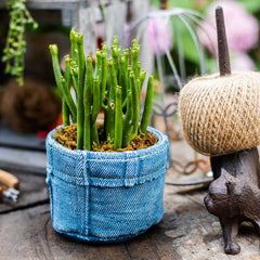 Pants for Plants Blue Jeans Cement Flower Pot (Shipping fees may apply)