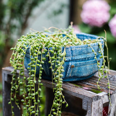 Pants for Plants Blue Jeans Cement Flower Pot (Shipping fees may apply)