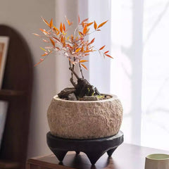 Mesa Cement Pot Planter (Shipping fees may apply)