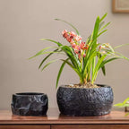 Mesa Cement Pot Planter (Shipping fees may apply)