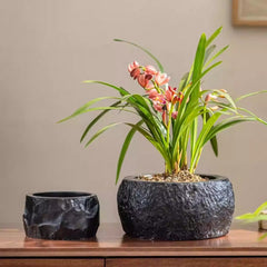 Mesa Cement Pot Planter (Shipping fees may apply)