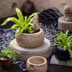 Mesa Cement Pot Planter (Shipping fees may apply)