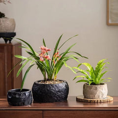 Mesa Cement Pot Planter (Shipping fees may apply)