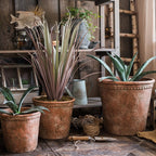 Large Terracotta Red Concrete Planter Pot-2