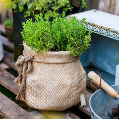 Ribbon Bag Style Concrete Garden Pot (Shipping fees may apply)-1