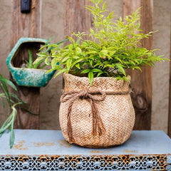Ribbon Bag Style Concrete Garden Pot (Shipping fees may apply)-4