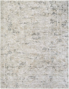 Rectangular Meral Thick Luxe Boutique Rug with a distressed, vintage-style pattern in shades of beige, gray, and off-white.