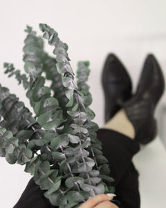 Green Eucalyptus-4