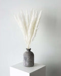 White Small Pampas-0